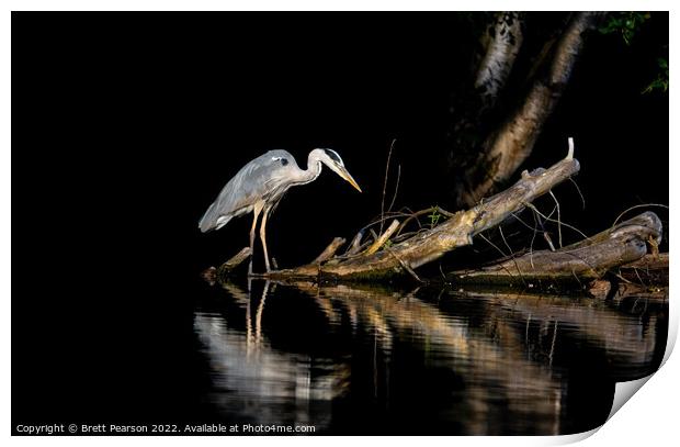 Grey Heron Print by Brett Pearson