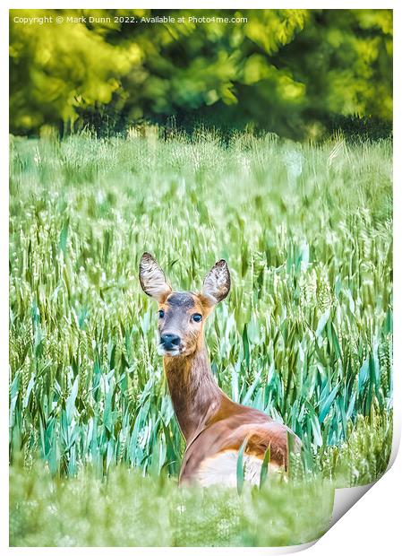 A Deer in a Corn Field Print by Mark Dunn