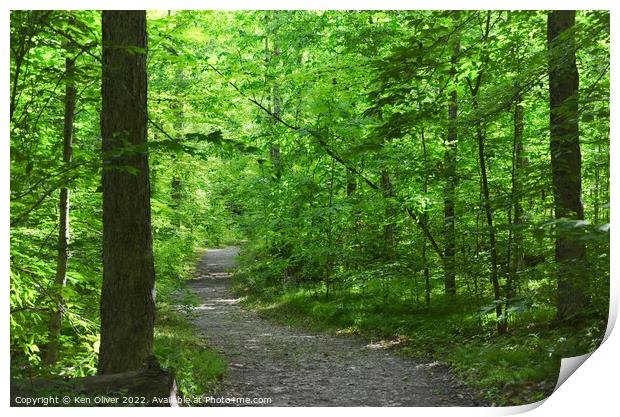 Enchanting Wilderness: A Serene Journey Print by Ken Oliver