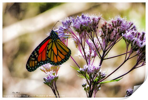 Elegance in Flight Print by Ken Oliver