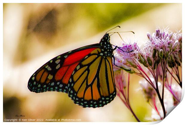 Dance of the Monarch Print by Ken Oliver