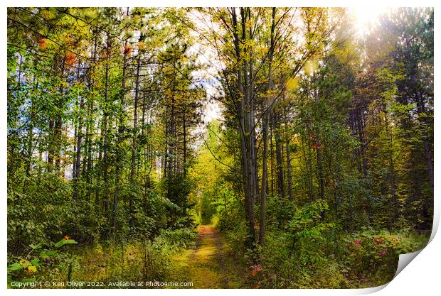 Enchanting Autumn Path Print by Ken Oliver
