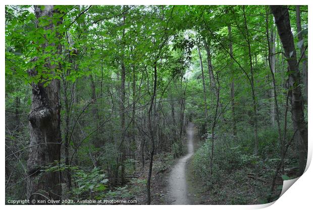 Enchanted Path: Exploring the Hidden Woods Print by Ken Oliver