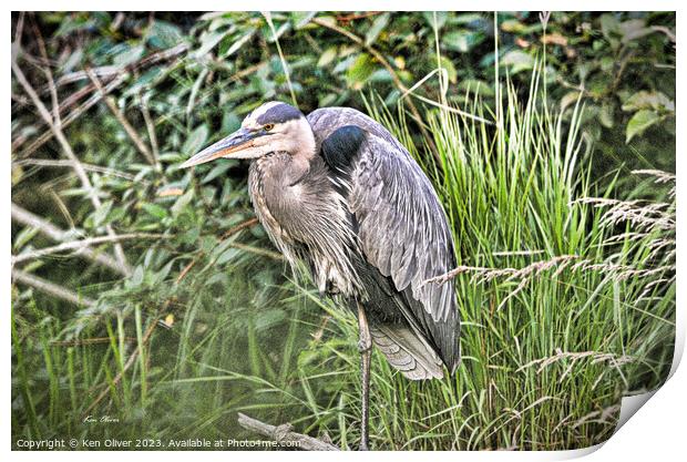 Feathered Solitude Amid Verdant Blades Print by Ken Oliver