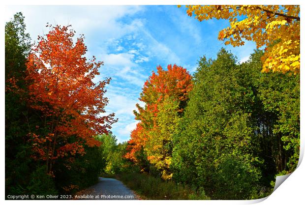 Vibrant Autumn Color Print by Ken Oliver