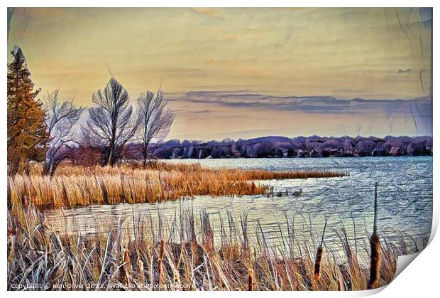 Lakeside Marsh Print by Ken Oliver
