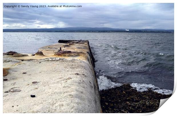 The old Pier at  Chanonry Point Print by Sandy Young