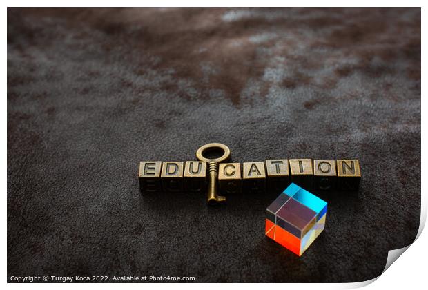 Prism beside Love shaped padlock, key and educatio Print by Turgay Koca