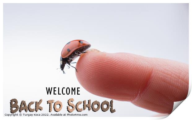 Beautiful red ladybug walking on a hand Print by Turgay Koca