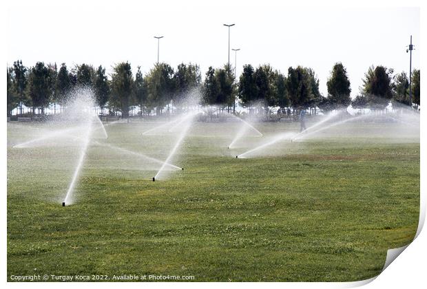 Lawn water sprinkler spraying water over green grass  Print by Turgay Koca