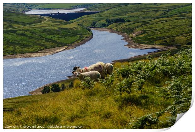 Scar House Reservoir with Grazing Sheep in the Foreground. Print by Steve Gill