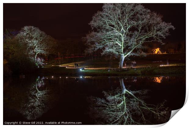 White Floodlit Trees Reflecting on a Lake. Print by Steve Gill