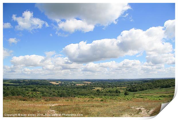 Ashdown Forest Print by suzy ainley