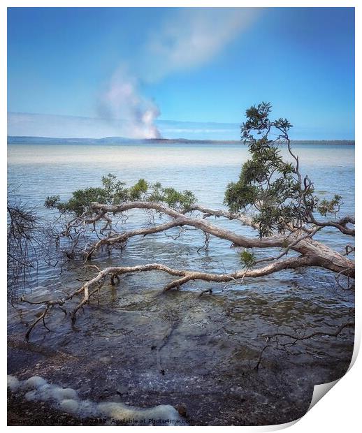 Lake Weyba Noosaville Sunshine Coast Queensland Au Print by Julie Gresty