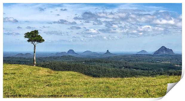 Glass House Mountains Maleny Lone Tree Hill Print by Julie Gresty