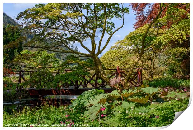 The Pond Benmore Gardens Print by RJW Images