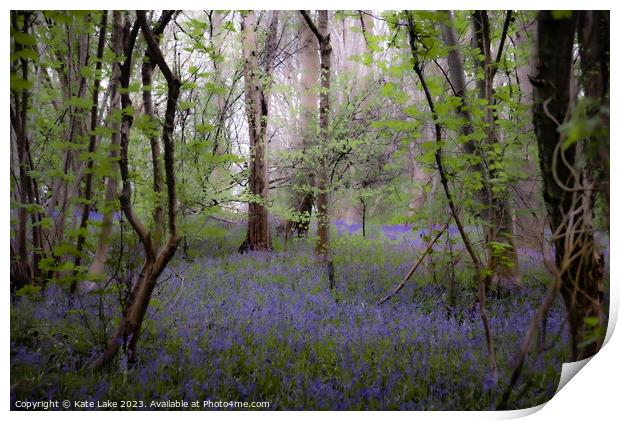 Enchanting Bluebell Woodland Print by Kate Lake