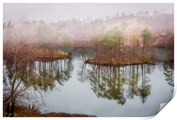 Tarn Hows Reflections Print by Kate Lake