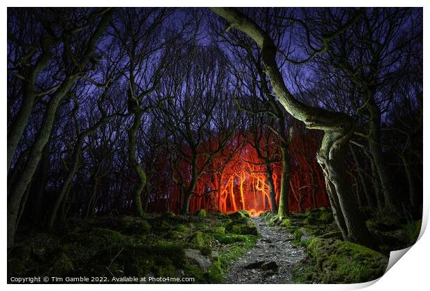 Fantasy Woodland Scene Print by Tim Gamble