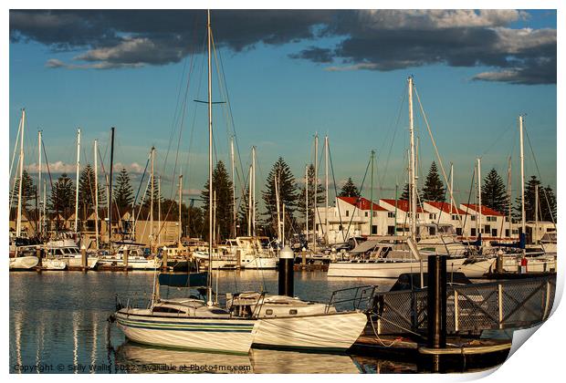 Adelaide Yacht Marina in evening light Print by Sally Wallis