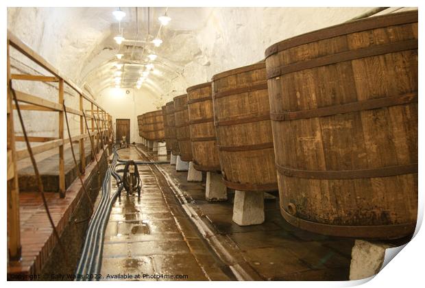 Barrels in Pilsen Brewery Print by Sally Wallis