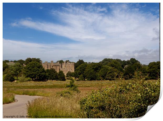 Glimpse of Bodiam Castle across the valley of the River Rother Print by Sally Wallis