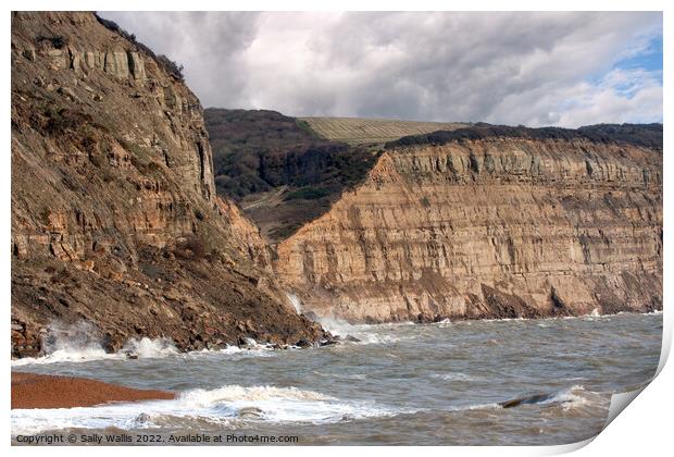 Recent rock fall east of Hastings, East Sussex Print by Sally Wallis