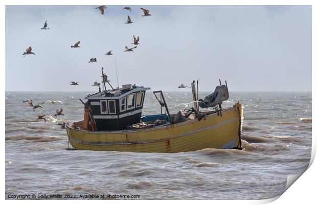 gulls follow incoming fishing boat Print by Sally Wallis