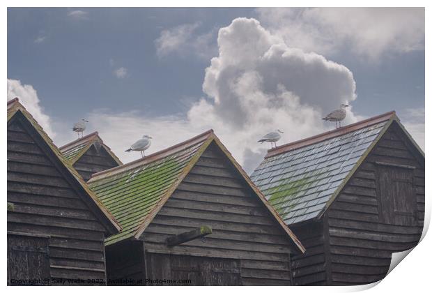 Seagulls on Hastings fishing huts Print by Sally Wallis