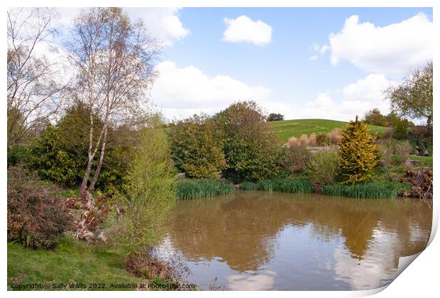 Head of a lake in Kent Print by Sally Wallis