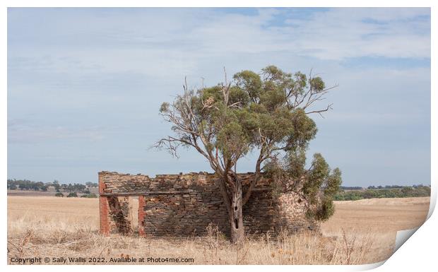 Ruined building South Australia Print by Sally Wallis