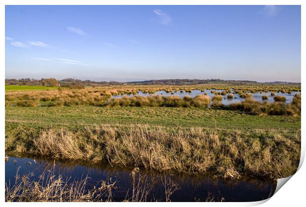 Flooded marshland in East Sussex Print by Sally Wallis