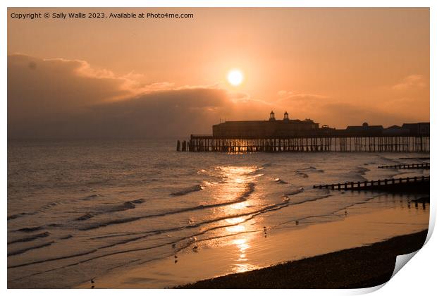 Hastings Pier late evening Print by Sally Wallis