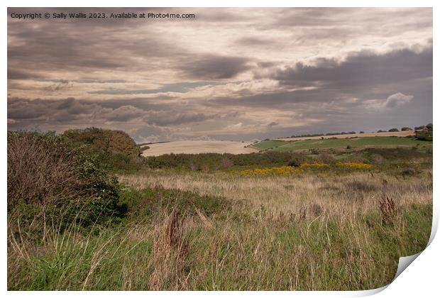 South Downs in the Rough Print by Sally Wallis