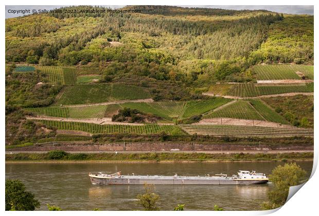 Vineyards along the Rhine Print by Sally Wallis