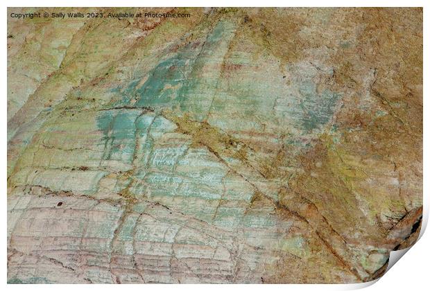 Copper Mine Close up Print by Sally Wallis