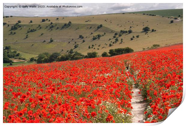 South Downs with Poppies Print by Sally Wallis