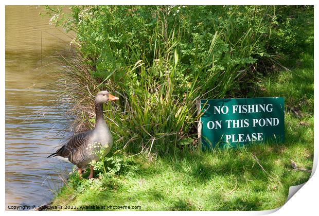 No Fishing ! Print by Sally Wallis