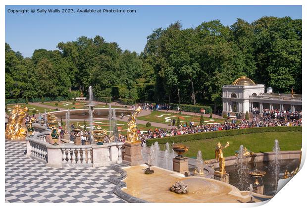 Peterhof grounds and fountains Print by Sally Wallis