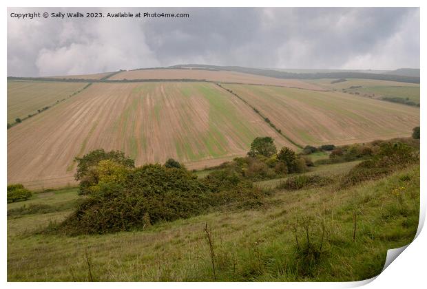 Rolling Hills of South Downs Print by Sally Wallis