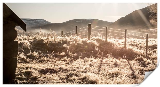 Winter Sun Print by Andrew MacDonald