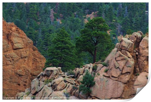 Colorado Rocky Mountains USA with tree's. Print by Robert Brozek