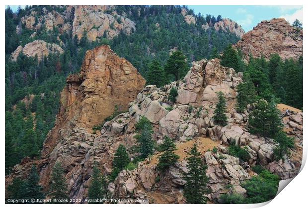 Colorado Rocky Mountains with trees Print by Robert Brozek