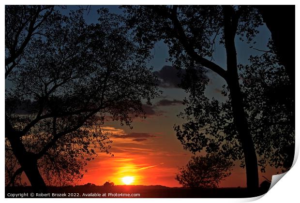 Sky and sun with trees at sunset Print by Robert Brozek