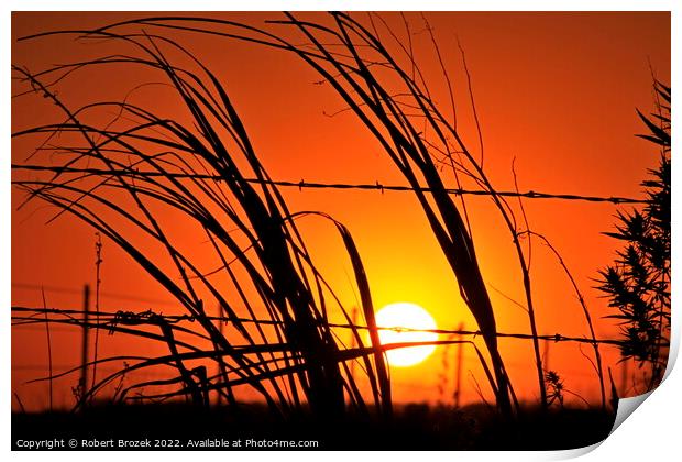 Kansas Sunset with a fence and grass silhouettes  Print by Robert Brozek