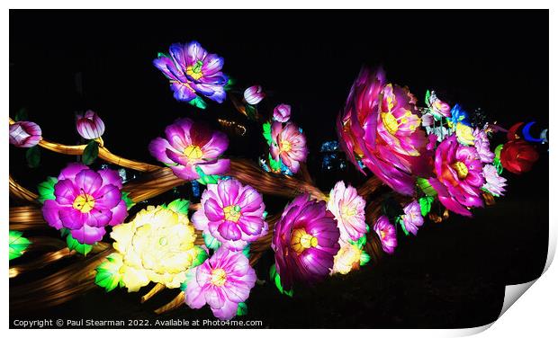 Colourful Abstract Flowers taken at Night Print by Paul Stearman