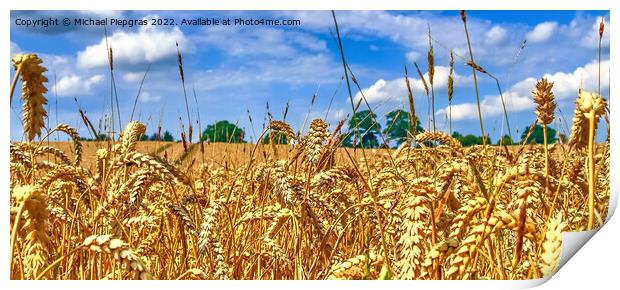 Beautiful panorama of agricultural crop and wheat fields on a su Print by Michael Piepgras