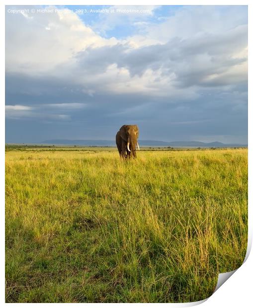 Wild elephants in the bushveld of Africa on a sunny day. Print by Michael Piepgras