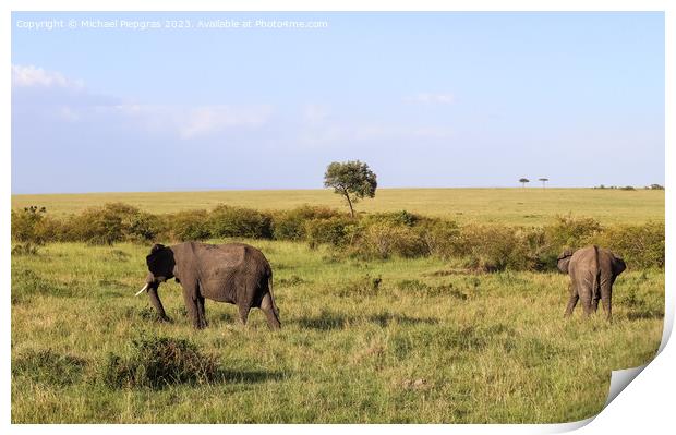 Wild elephants in the bushveld of Africa on a sunny day. Print by Michael Piepgras