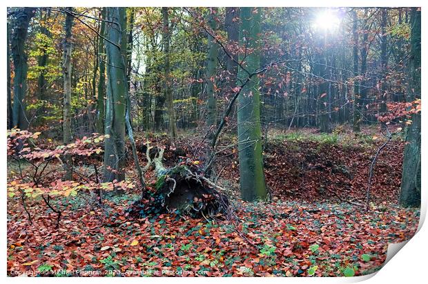 View into a vibrant and colorful autumn forest with fall foliage Print by Michael Piepgras